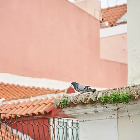 Spacious Duplex With Terrace * Lisbon